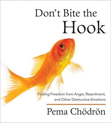 Don't Bite the Hook: Finding Freedom from Anger, Resentment, and Other Destructive Emotions [DONT BITE THE HOOK]
