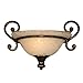 Golden Lighting 8063-WSC Bus Heartwood Sconce, Burnt Sienna
