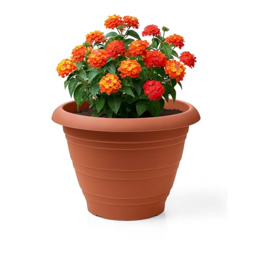 Lemag srl Maceta para flores de 20 x 15 cm – Diseño moderno de plástico resistente – Ligero, elegante y decorativo para interiores y exteriores – Color blanco