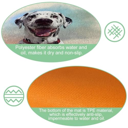 Tapis de cuisine dalmatien lavable et absorbant pour buanderie