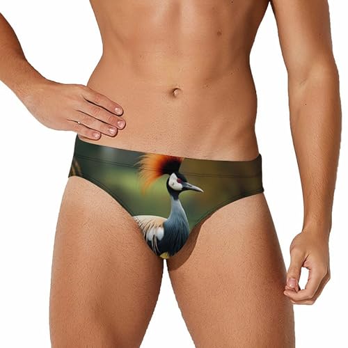 Grey Crowned Crane Mens Swim Briefs Quick Dry Swim Trunk Bikini Underwear Swimsuit 3XL