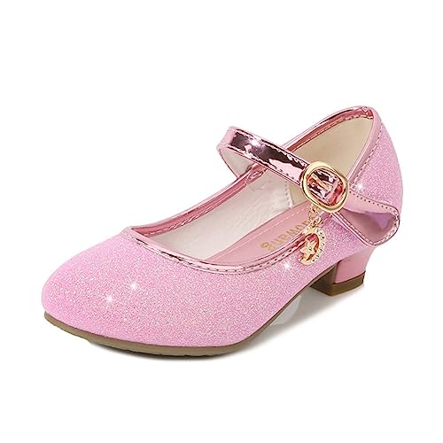 Girls Heels Dress Shoes Mary Jane Pumps Low Heel Princess Flower Wedding Party