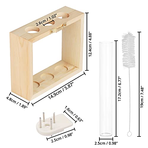 Belle Vous Muur Hang Glazen Testbuis Planten Vaas – 4 Bloemen Buisjes (1 Reserve) met Houten Standaard – Tafeltop… - Image 3