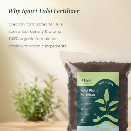 Image of Kyari Tulsi Fertilizer 100% Organic - Natural Growth Booster for Tulsi Plant, Holy Basil, Home Garden, Balcony Pots - Plant Food for Lush Green Leaves - 100% Natural for Plant Parents