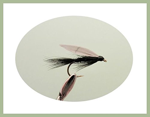 120 mouches de pêche à la truite « Early Season » (2 boîtes) - Excellent choix pour pêche à la mouche