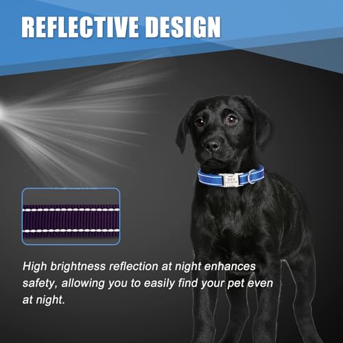 Personalisiertes Hundehalsband mit lasergravierbarem Namen, reflektierendes Nylon-Haustierhalsband mit Metallschloss, anpassbar in der Größe, Geschenk für Hunde(Blau)