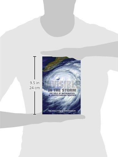 Invisible in the Storm: The Role of Mathematics in Understanding Weather - Image 2