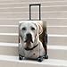 QSMBNET Travel Luggage Cover White Labrador Spandex Suitcase Protector Washable Baggage Covers Fashion Elastic Scratch-Resistant Luggage Cover Protector Fits 18-32 Inch Luggage