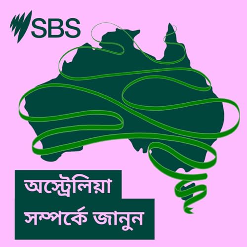 Australia Explained: সৈকতে বা পার্কে পিকনিক, বারবিকিউ - বহুসাংস্কৃতিক অস্ট্রেলিয়ায় ক্রিস্টমাসের ঐতিহ্য যেমন