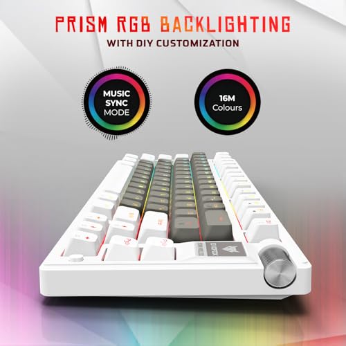 Image of EvoFox Ronin Mechanical Keyboards Wireless(BT+2.4GHz+Wired) | 9 Layer Gasket Structure, Outemu Red Switches, Per-Key RGB, 1000Hz, nKey Rollover, Volume Controller | Windows Software (White)