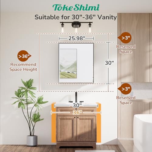Image of TokeShimi 26x30 in Black Bathroom Medicine Cabinet, Adjustable Shelves