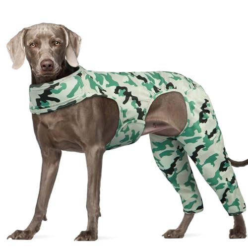 Hjyokuso Combinaison De Convalescence pour Chiens, Body Chien Post Operatoire Femelle Male, avec...