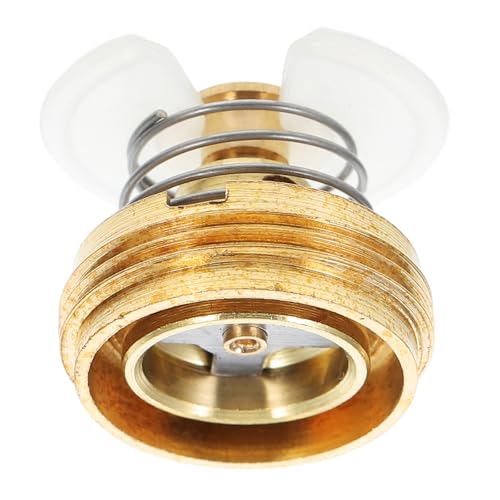 GALPADA Conjunto Regulador Válvula Gas y Agua Núcleo Estabilizador Kit Regulador de Gas de Agua Válvula Control Presión Estable para Calentador Uso Industrial y Doméstico