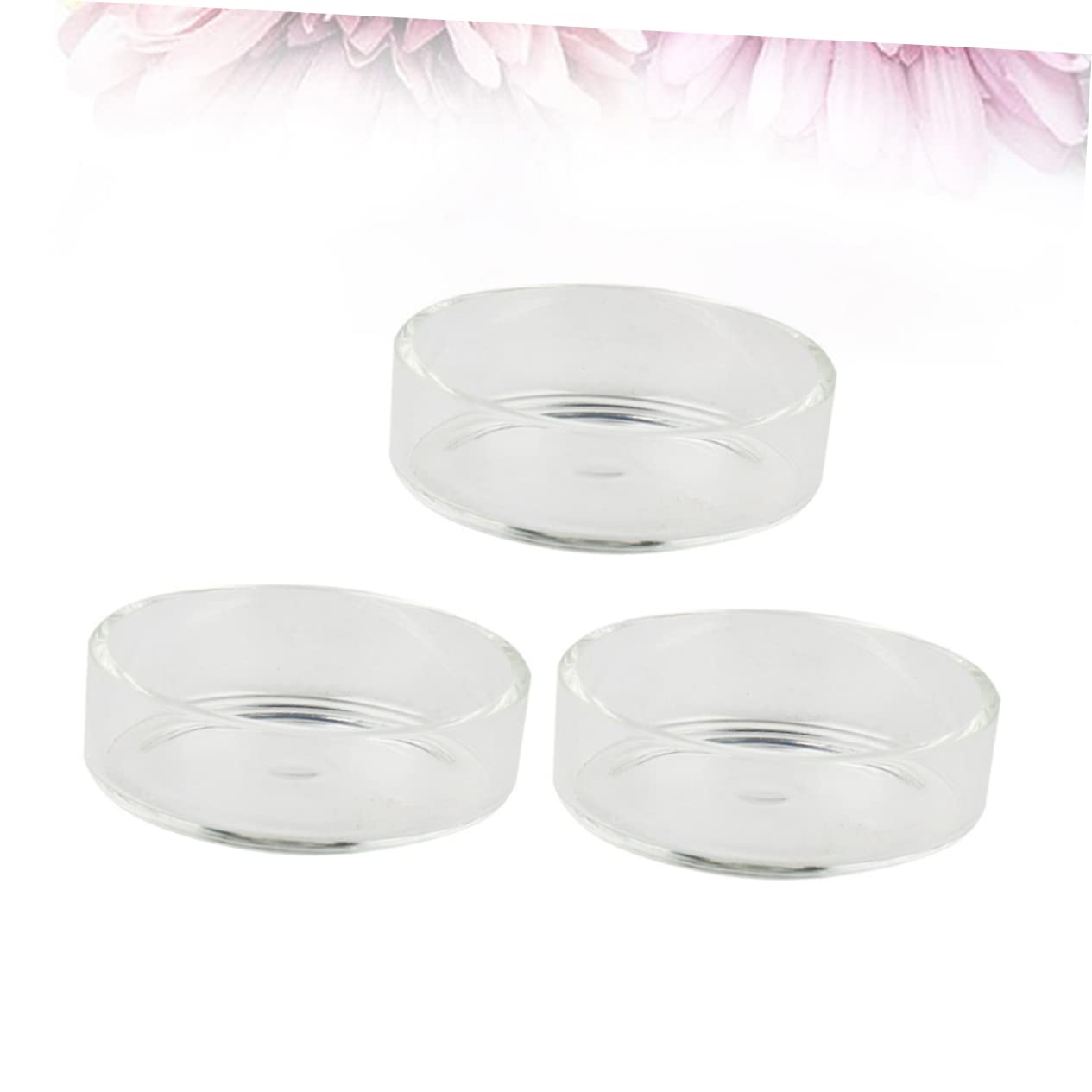 Didiseaon 2 Juegos de Cuencos Redondos de Vidrio para Camarones Comederos para Camarones Suministros para Acuario Adornos de Cristal para Tanque de Camarones 5 Piezas