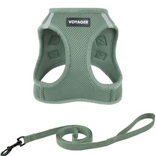 Image of Voyager Step-in Pet Harness - All Weather Mesh, Adjustable Step in Harness for Cats and Dogs by Best Pet Supplies - 307 Set Moss Green, XS