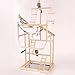 Stgfyxgs Parrot Playground Parrot Perch Stand Bird Activity Center Cage Accessories Bird