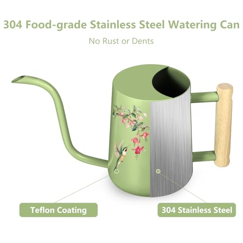 Image of Watering Can Indoor Plants, 35oz Small Stainless Steel Metal Watering Can Modern Decorative Watering Pot with Long Spout for Indoor House Plant Bonsai Garden Flowers (Saga Green 2)
