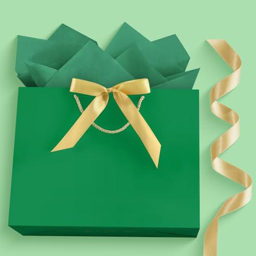 Image of JMANNI Gift Bags with Handles, 13 inch Medium Gift Bag for Presents, 1 Pcs Bags with 2 Tissue Paper and 1 Cards for Baby Shower Wedding Bridal Shower Mother's Day Birthday Party (LightGreen)