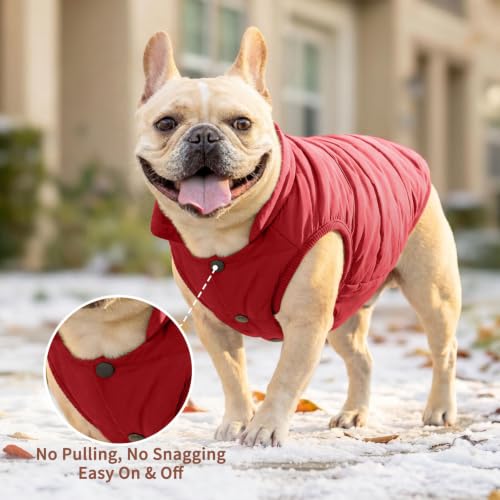 Image of JoyDaog Fleece Lined Dog Jacket for Small Dogs,Winter Dog Coat,Red M | Warm Windproof Puppy Vest for Cold Weather,Soft Cozy Doggie Clothes for Small Dog Breeds,Outdoor Daily Walk,Snow Play