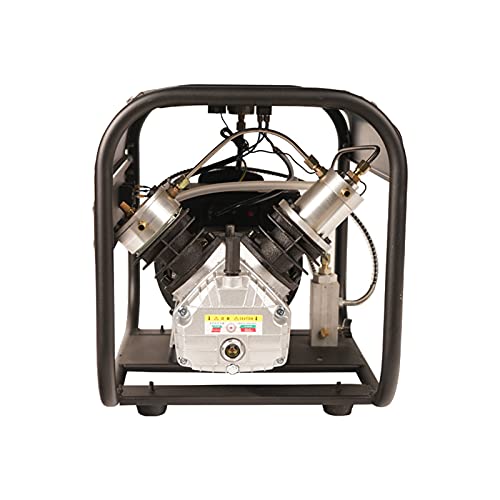 TUXING 4500Psi Double Cylinder,Pcp Air Compressor,High Pressure Paintball Pump,for Air Rifle Gun 6.8L Tank,Paintball Gun 30Mpa 110V(TXED011)