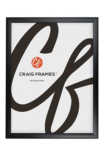 Craig Frames Simply Poly 27x41 Picture Frame Black