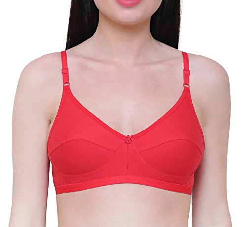 Image of INNER TOUCH Women's Cotton Non-Padded Bra (Pack of 3)