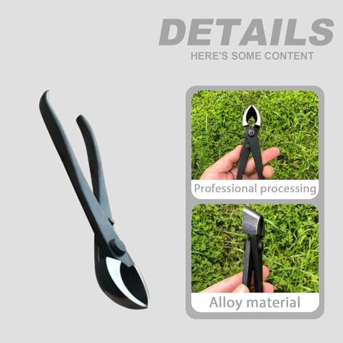 Cortador de Rama Cóncava para Bonsai 8 Pulgadas Acero miniatura 2