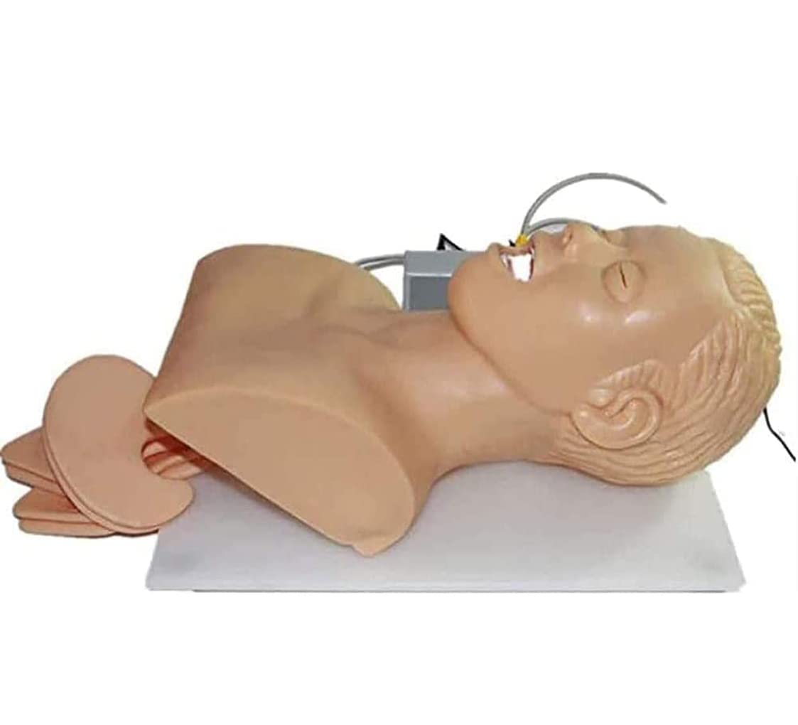 Intubation des Atemwegsmanagement Trainers 110-220V Intubation Manikin Training Simulator Airway Management Trainer Intubation Leiter Unterrichtsstudie Model Manikin