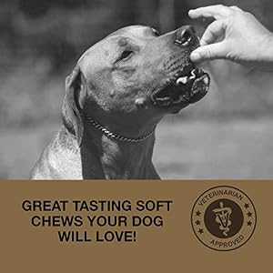 Deter-X Dog Poop Eating Deterrent - Chew Treats for Poo Eating Prevention - Yucca, Parsley, Chamomile, Digestive Enzymes, Prebiotics, Probiotics for Dogs - Puppy & Dog Stuff - 60 Bites Deter-X Dog Poop Eating Deterrent – Chew Treats for Poo Eating Prevention – Yucca, Parsley, Chamomile, Digestive Enzymes, Prebiotics, Probiotics for Dogs – Puppy & Dog Stuff – 60 Bites
