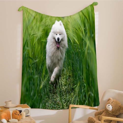 TMMDH Manta Polar 220 x 240 cm CéSped Mantas Sofa de Franela para Niños y Adultos Perro Blanco Mantas Ligeras de Microfibra Fácil de Limpiar Suave Cálido