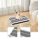 IEUDNS Dog Potty Tray Pet Toilet Bedpan Keep Paws and Floors Clean Training Toilet for Snowy Indoors Bedroom Late Nights, White S