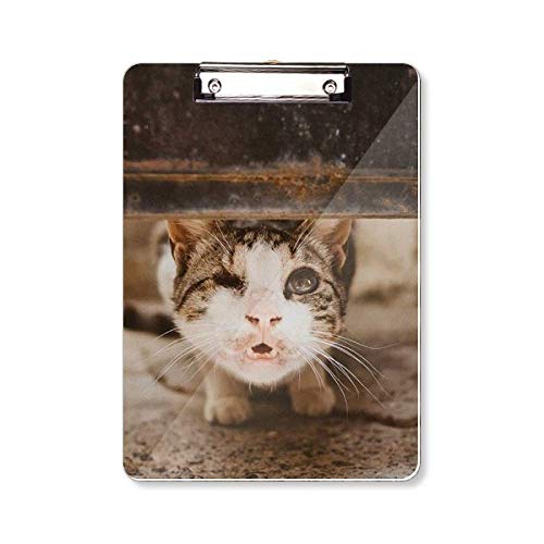 Bloc-notes chat motif animal A4 le cadeau parfait pour passionnés de félins