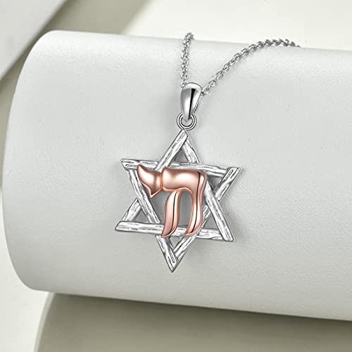 YFN Star of David Necklace Sterling Silver Jewish Christian Jewelry Gifts with 18" Chain2