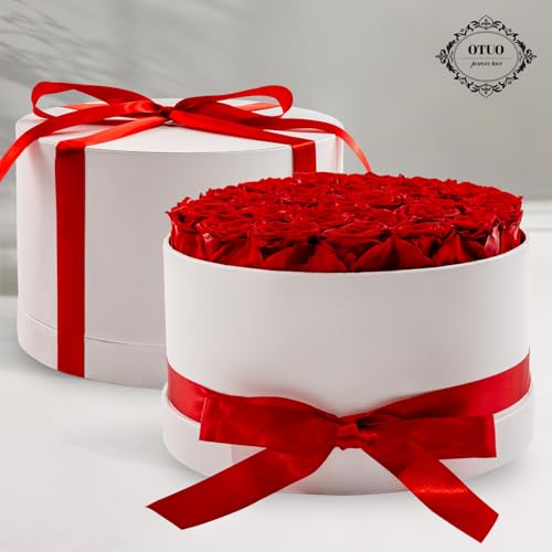 27 Piece Preserved Roses in a Box - Forever Flowers for Delivery Prime, Eternal Roses Mothers Gifts for Mom, Wife Anniversary Birthday Gifts for Women, Red - Image 3