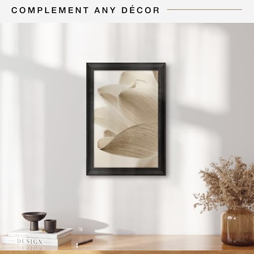 MCS Studio Gallery Classic 12x18 Picture Frame Black Woodgrain, Vertical & Horizontal Wall Hanging Large Picture Frame for Photos, Posters & Art Prints (1-Pack)