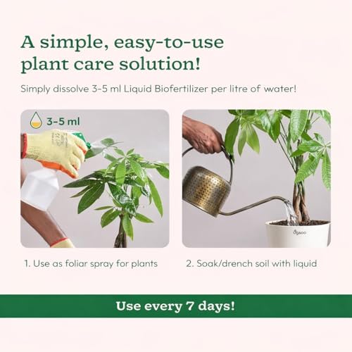 Image of Amazon Brand - Natural Plant Growth Enhancer + Plant Booster + Fast Rooting Hormone for Indoor, Outdoor, Garden, Flowering & Vegetable Plants. Promotes strong roots and healthy growth - Pack of 3