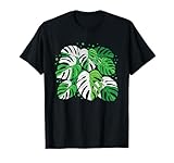 Monstera Variegated Plant Lover