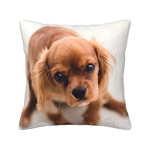Housse de coussin velours côtelé chiot pour protéger vos oreillers