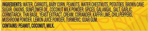 Tasty Bite Thai Vegetable Peanut, 10 Ounce, Pack of 6, Ready to Eat, Microwavable Entree, Vegetarian