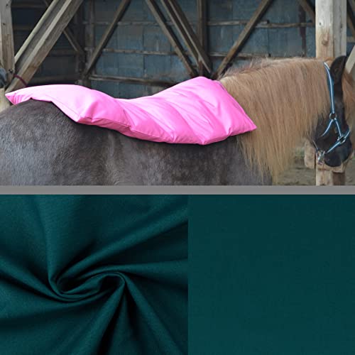 Teichwerk Dinkelspelzkissen Wärmekissen für Pferde Ponys Esel 1 Petrol farbig Füllung Standard 130x68 Cover