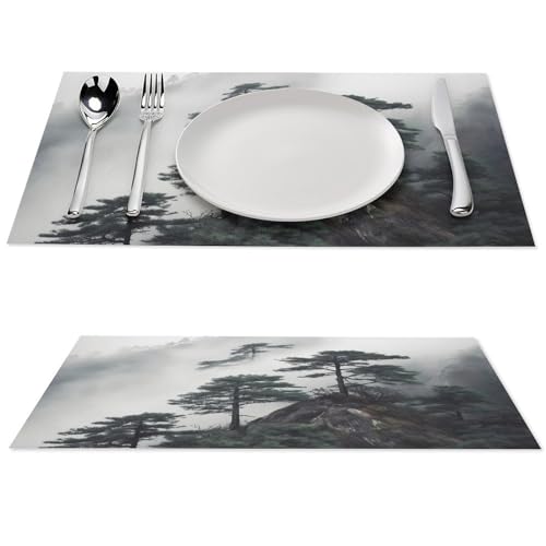 Set de table en PVC résistant à la chaleur lot de 4 lavable 30x45cm
