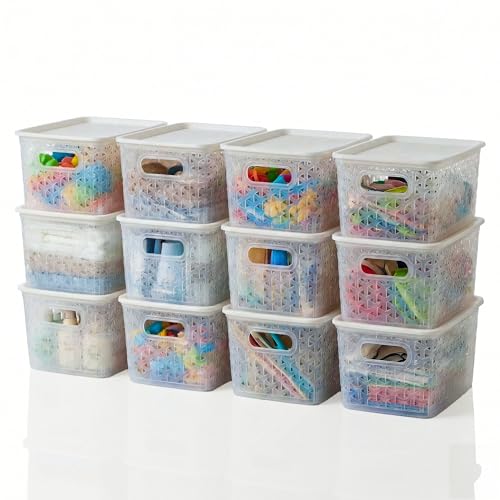 Kuber Industries 12 Pcs Plastic Small Solitaire Storage Basket with Lid & Handle | Multipurpose Storage Rectangular Box for Cloths Toys & Books | H1 - Transparent