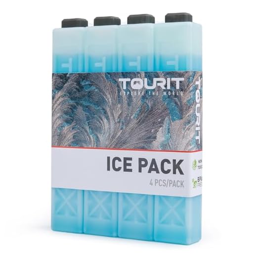 TOURIT Ice Packs for Coolers Reusable Long Lasting Freezer Packs for Lunch Bags/Boxes, Cooler Backpack, Camping, Beach, Picnics, Fishing and More (Set of 4, Blue)