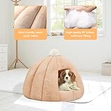 Galatée B09KPMYFJX lato 4