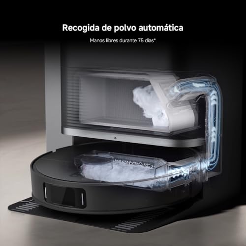 Miniatura 11 de 