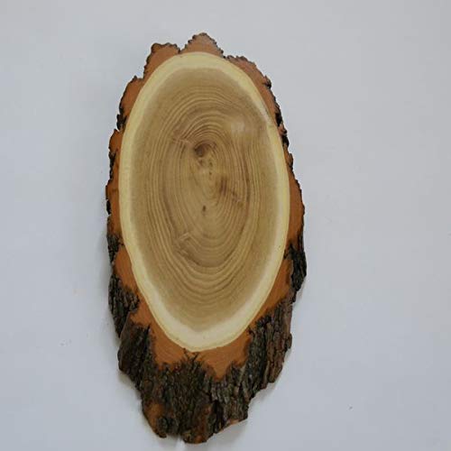 Acacia Deer Bock Trophy Sign AF 19 cm Roebuck Tree Disc Tree Sign