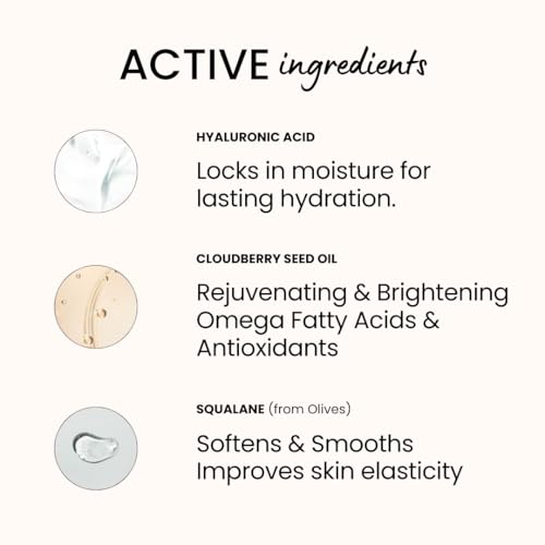The Beachwaver Co. B. Bungalow Bondi Beach Day Body Butter | Full Size (8 Fl Oz) | Made with Cloudberry Seed Oil, Vegan Squalane and Hyaluronic Acid | Caribbean Coconut & Mexican Vanilla Orchids