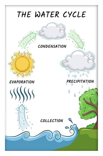 Tableau cycle de l'eau et types de pluie pour décorer une salle de classe ou un laboratoire