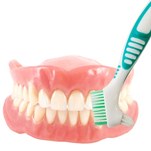 Gxxmei 4Pcs Denture Brush Toothbrush Denture Toothbrush Brush Cleaning Brush For False Teeth Cleaning #TOP3