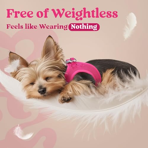 rabbitgoo Small Dog Harness, Step-in Soft Mesh Puppy Vest with Safety Buckle, Breathable Reflective Pet Harness for Small Medium Dogs, Rose Red L by rabbitgoo - Image 4